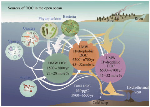 Supply of Dissolved Organic Carbon from the Cold Seeps-Hydrothermal ...