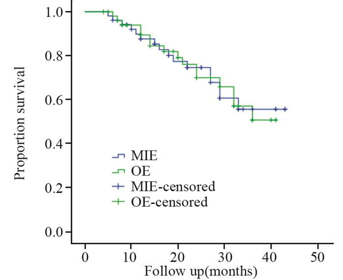 and postoperative data of elderly esophageal cancer patients