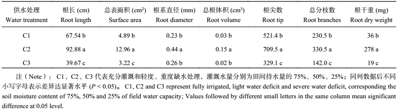 点击查看表格内容