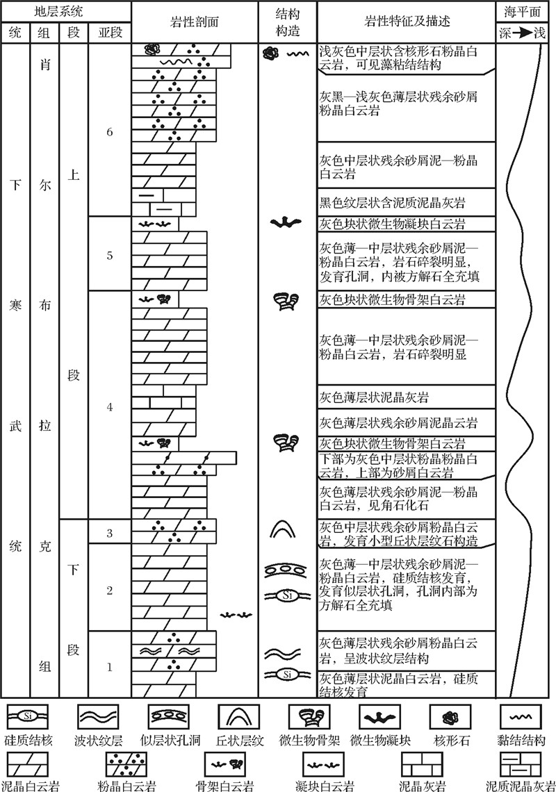 塔里木盆地下寒武统肖尔布拉克组北部台缘带展布及其油气勘探意义