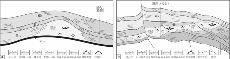 塔里木盆地下寒武统肖尔布拉克组北部台缘带展布及其油气勘探意义