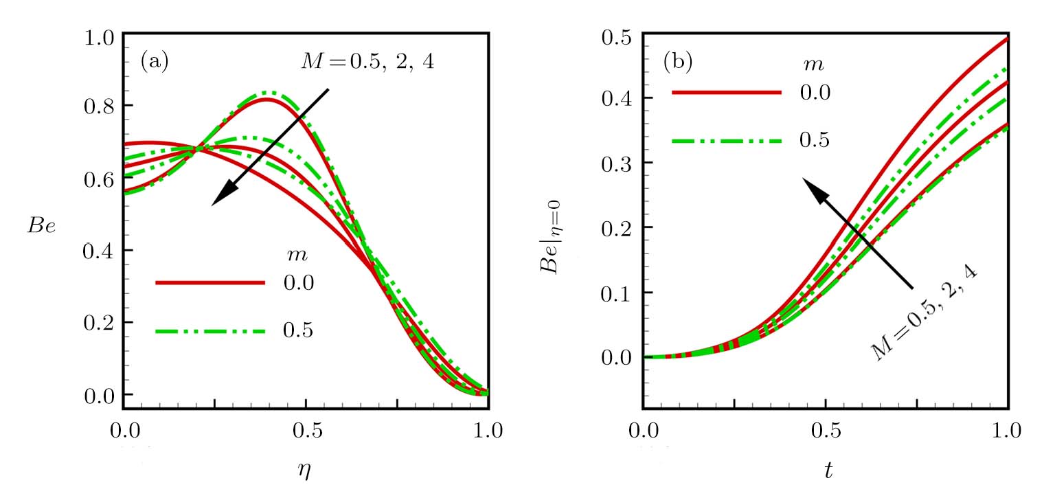 Numerical Study of Unsteady MHD Flow and Entropy Generation in a ...