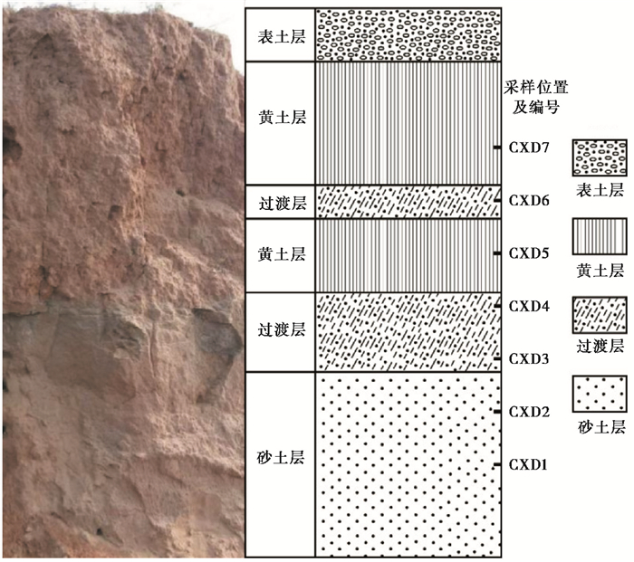 大连长兴岛砂质沉积物粒度分布与石英表面结构特征研究