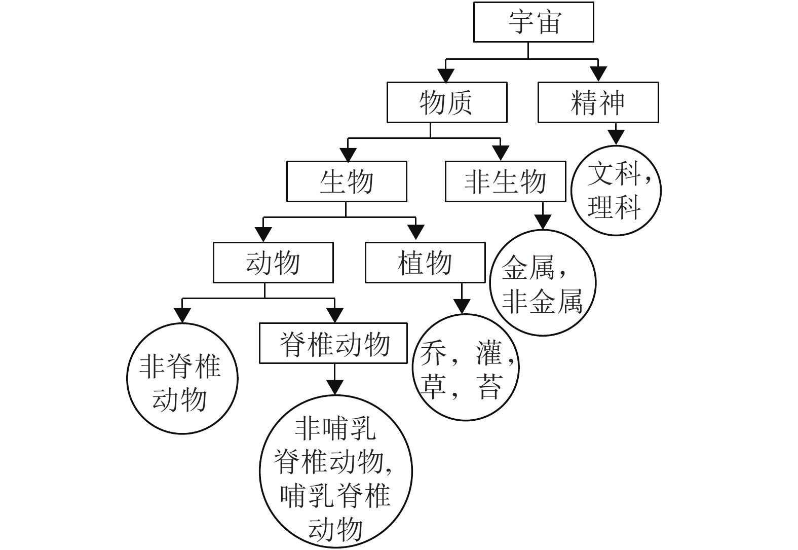 图 2祖裔世代排列谱系figure 2pedigree of ancestra