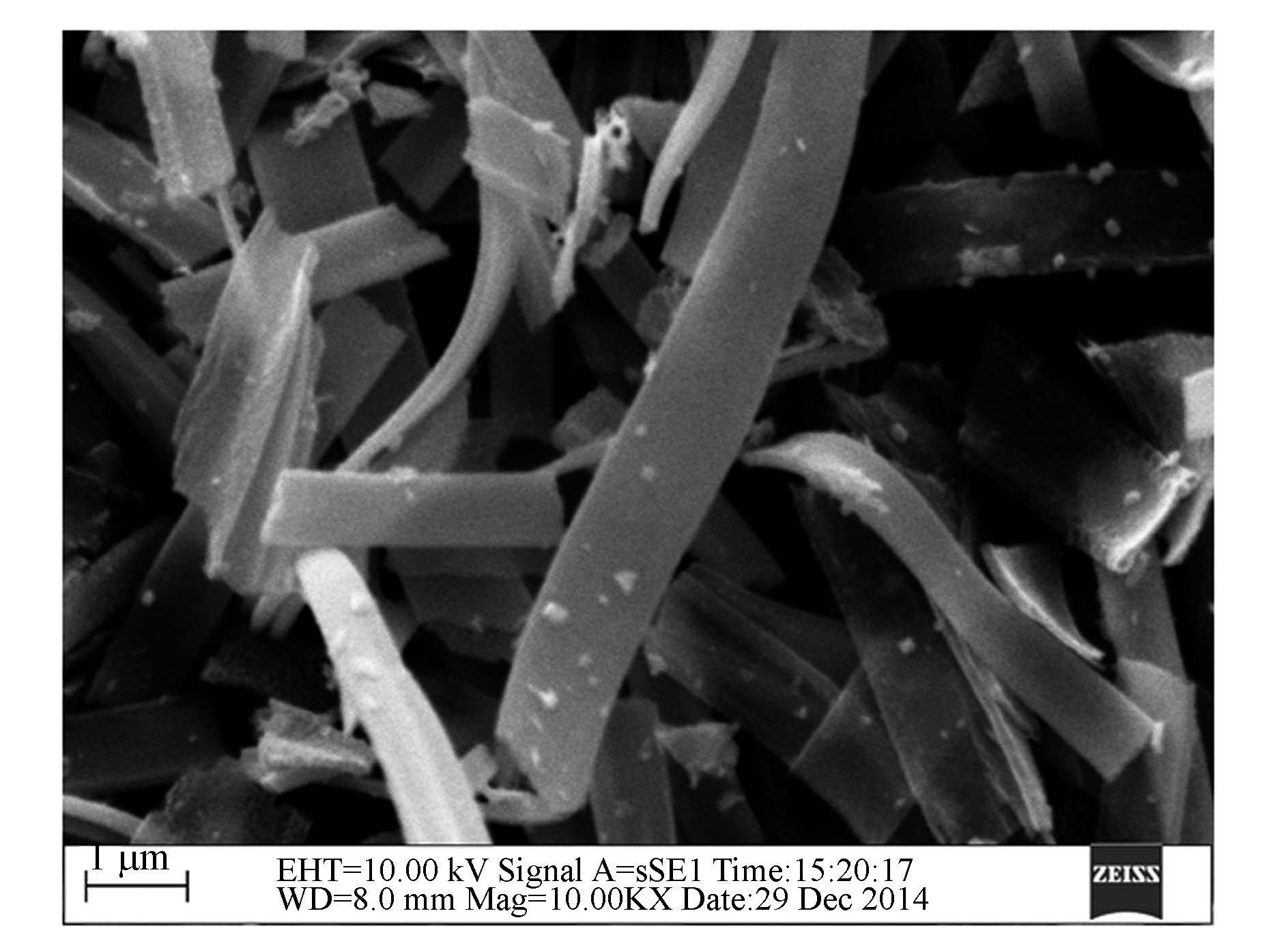 in  tio  纳米带的sem照片  fig.