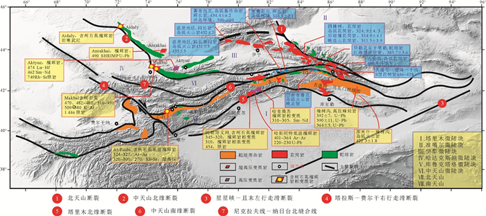 全球早古生代造山带(Ⅱ):俯冲-增生型造山