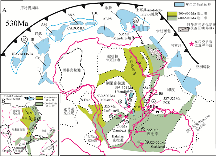 全球早古生代造山带(Ⅱ):俯冲-增生型造山