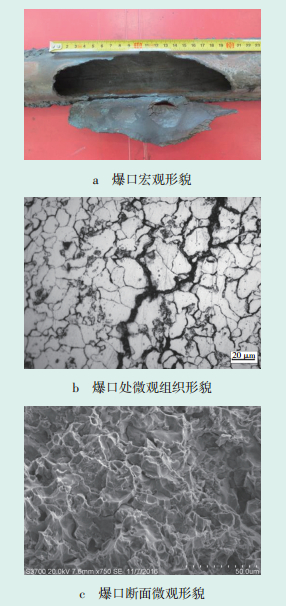 氢脆断口特征照片图片