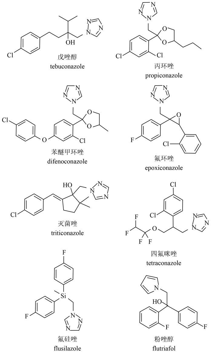 三唑酮结构图片