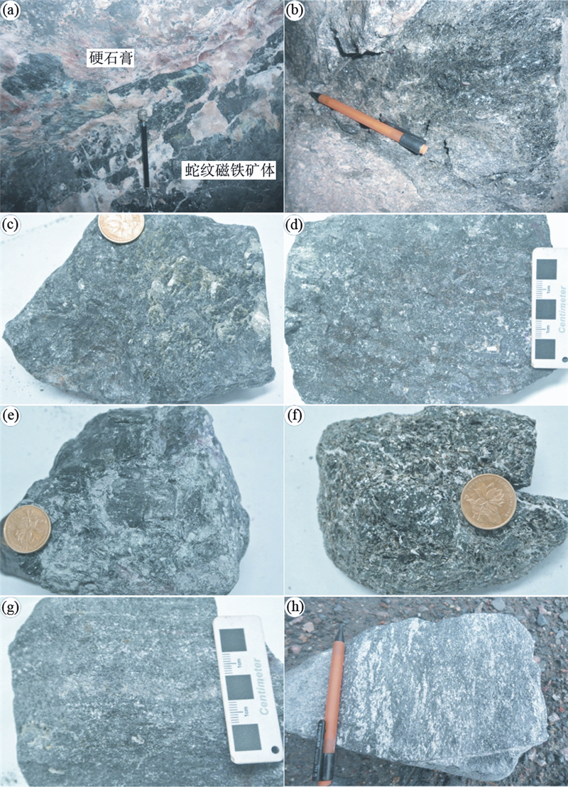 河南舞阳赵案庄铁矿床成因来自磁铁矿和磷灰石的矿物学证据