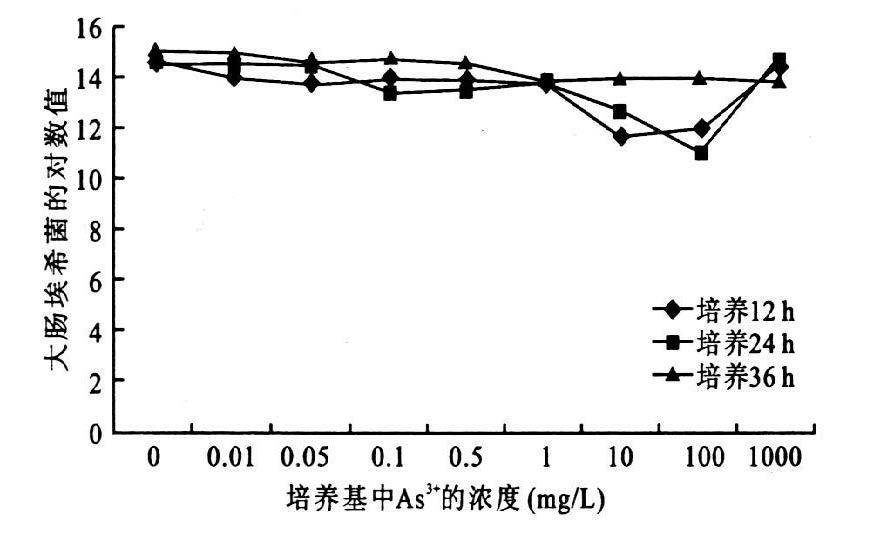 大肠埃希菌的生长曲线