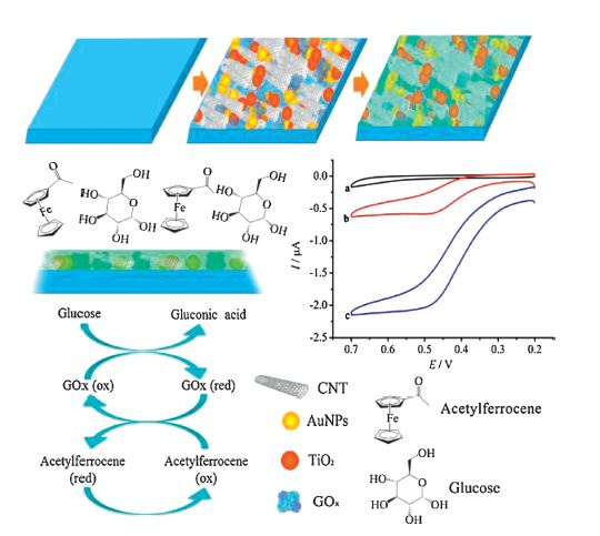 Glucose biosensor based on new carbon nanotube-gold-titania nano ...