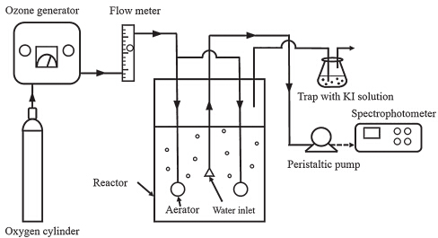 Kinetics and products of ozonation of C.I. Reactive Red 195 in a semi ...