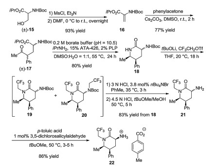 Scheme 2. Preparation of aminopiperidinone salt 22