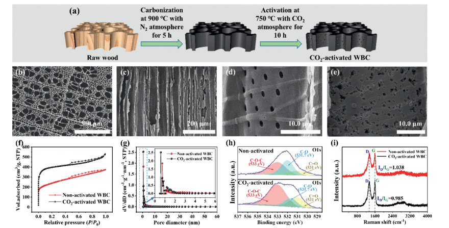 Fig. 1. (a) Fabrication processes of WBC, (b–e) SEM images, (f) N 2 ...