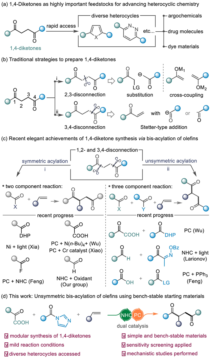 Scheme 1. Overview of the 1,4-diketone synthesis and our motivation of ...