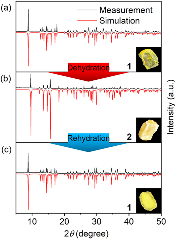 Dehydration-triggered structural phase transition-associated