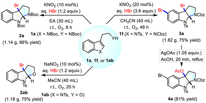 じゅん Nitrite-catalyzed economic and sustainable bromocyclization of
