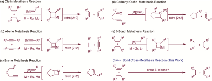 Scheme 1. Different types of metathesis reactions.
