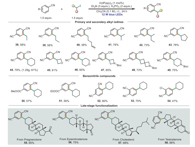 Scheme 3. Substrate scope of the Friedel−Crafts-type C–H alkylation ...