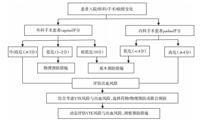 护理预警体系在院内静脉血栓栓塞症防治中的构建与效果评价