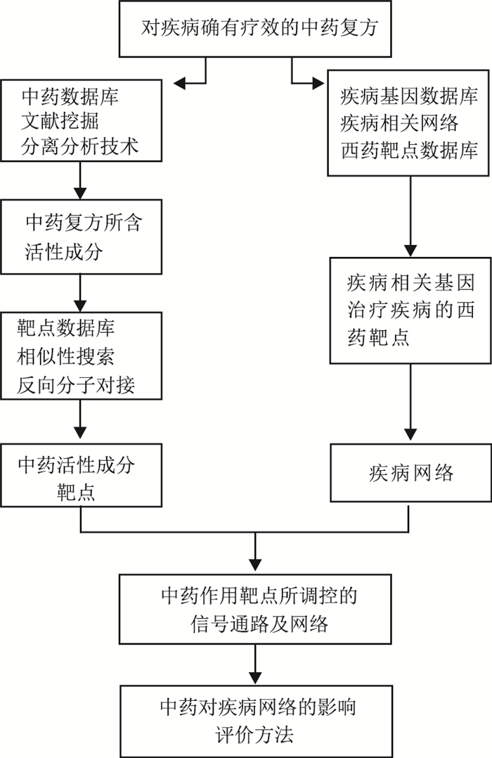 网络药理学流程图图片