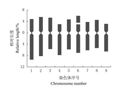 图5黄花芥蓝染色体核型模式图fig.